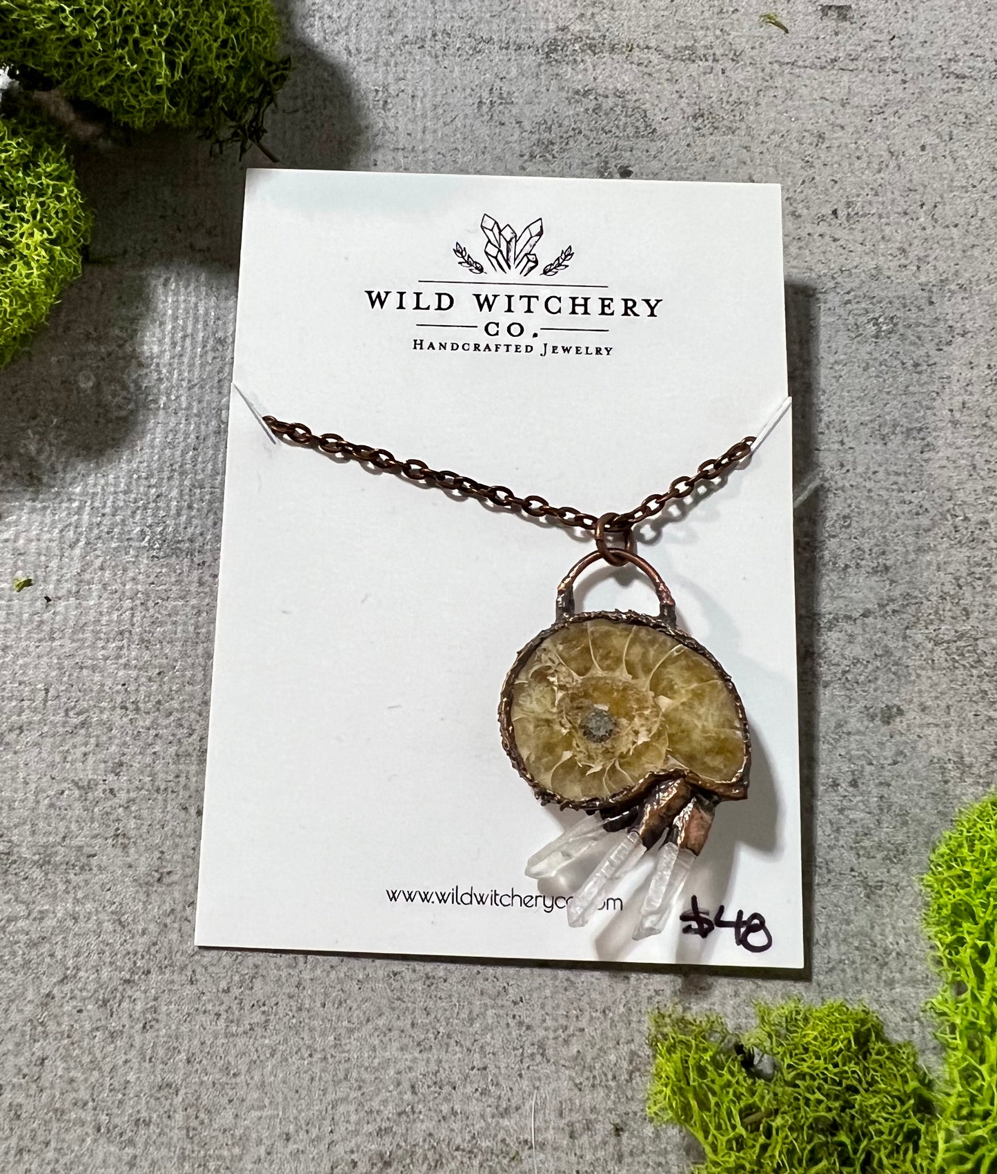 Ammonite and Clear Quartz Necklace on 24 in chain